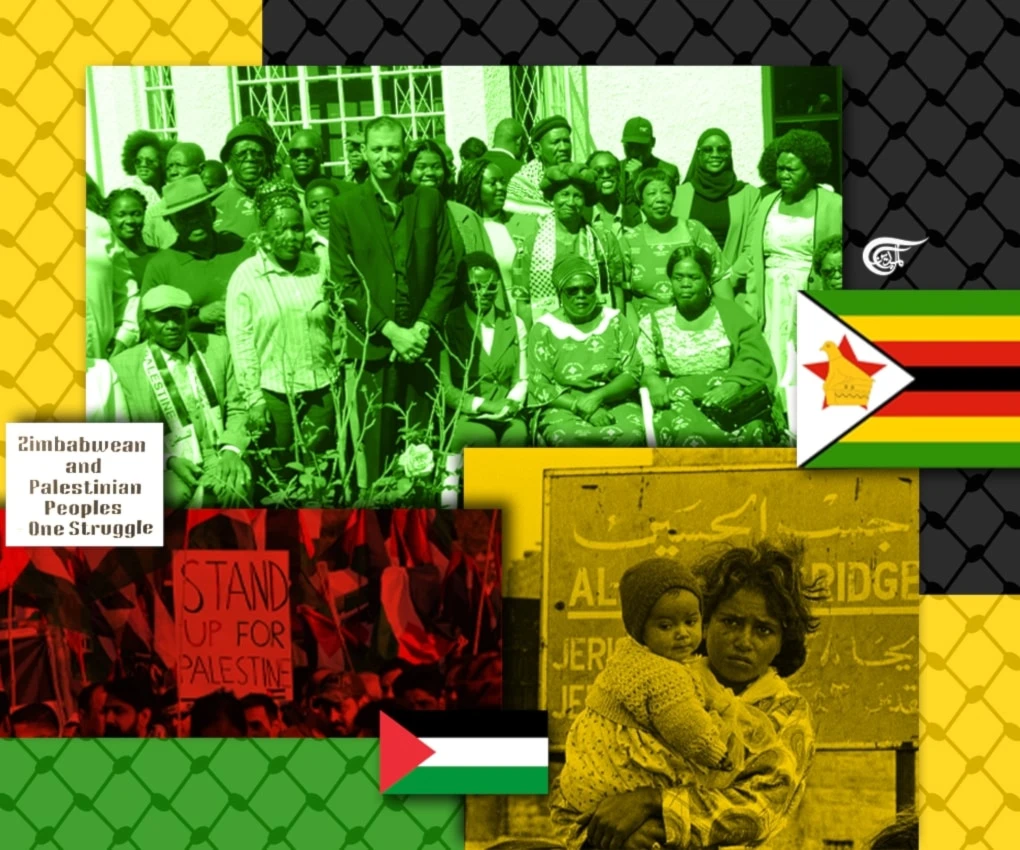 Zimbabwe is one of the countries with a vibrant pro-Palestine movement. (Al Mayadeen English; Illustrated by Zeinab El-Hajj)
