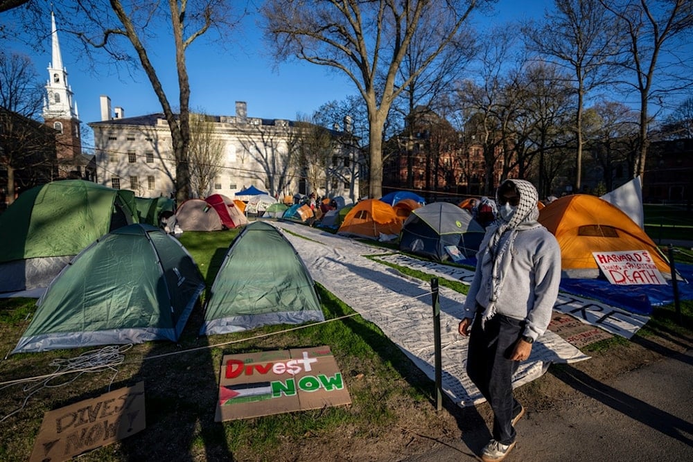 A student protester against the war in Gaza walks past tents and banners in an encampment in Harvard Yard, at Harvard University in Cambridge, Mass., on Thursday, April 25, 2024 (AP)