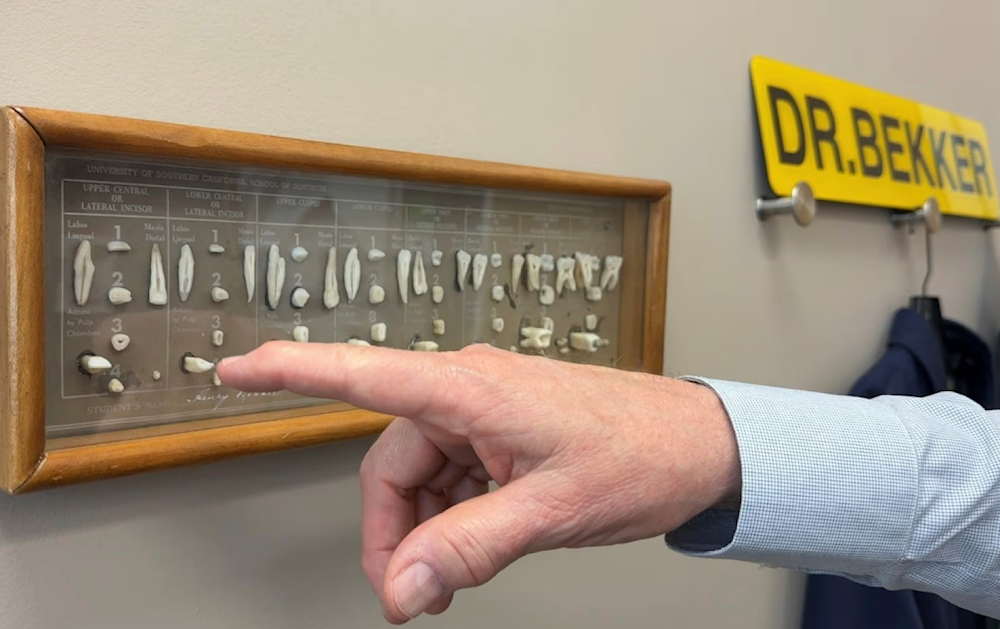 Dentist James Bekker with dissected human teeth on 30 April 2025, at his office in Salt Lake City, Utah. (Hannah Schoenbaum/AP)