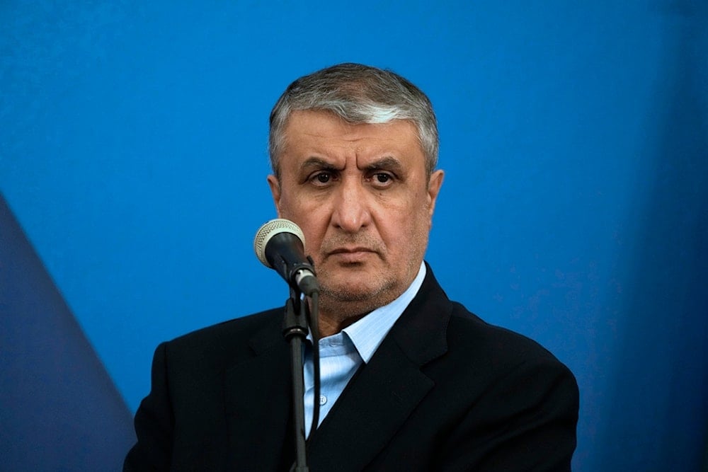 AEOI rejects IAEA report, reaffirms enrichment as Iran's 'red line'