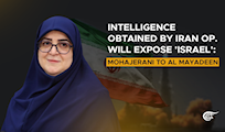 Intelligence obtained by Iran op. will expose 'Israel': Mohajerani to Al Mayadeen