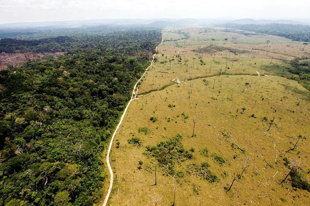 A deforested area near Novo Progresso in Brazil's northern state of Para. (Andre Penner/AP)