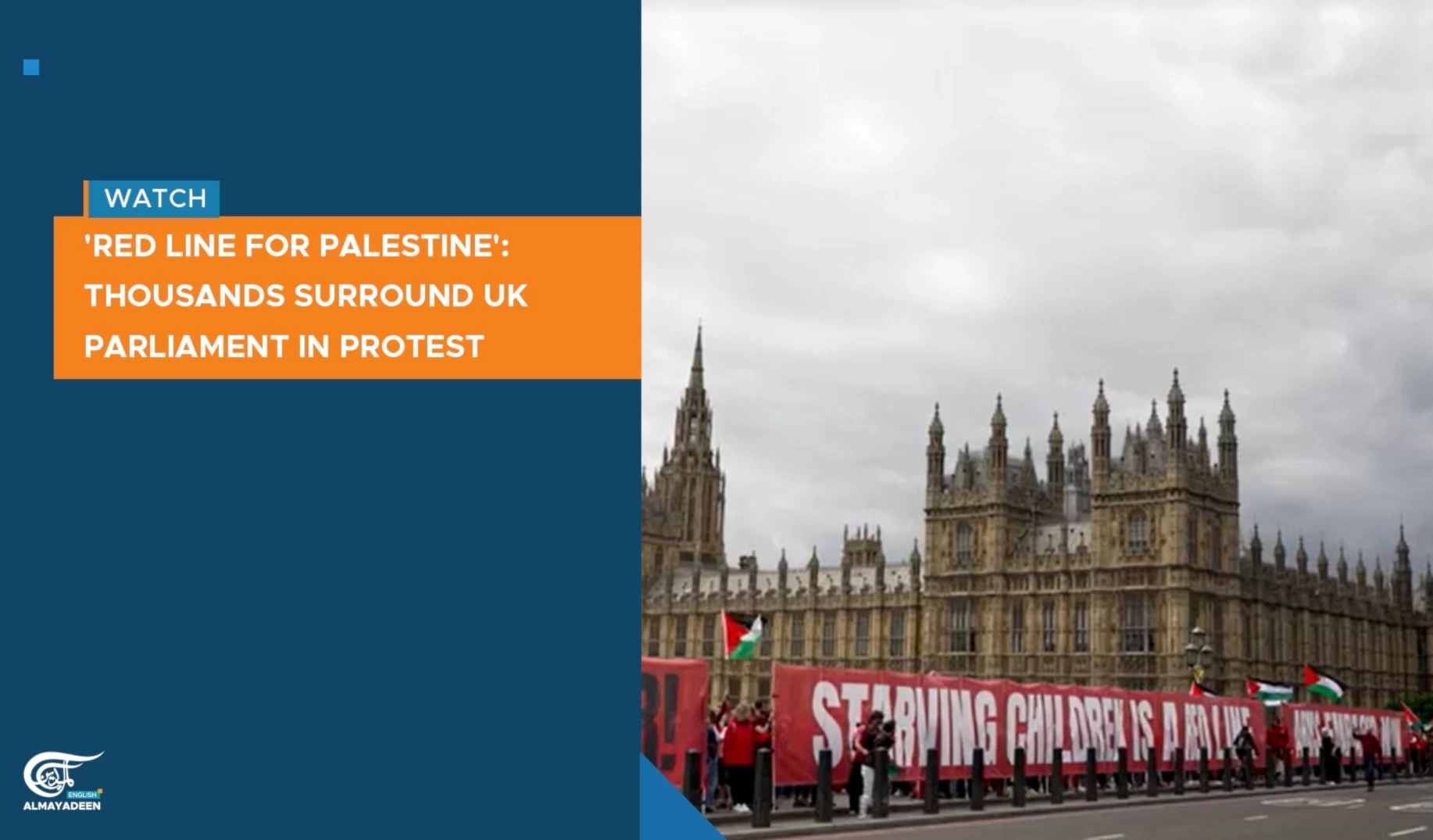 'Red line for Palestine': Thousands surround UK Parliament in protest