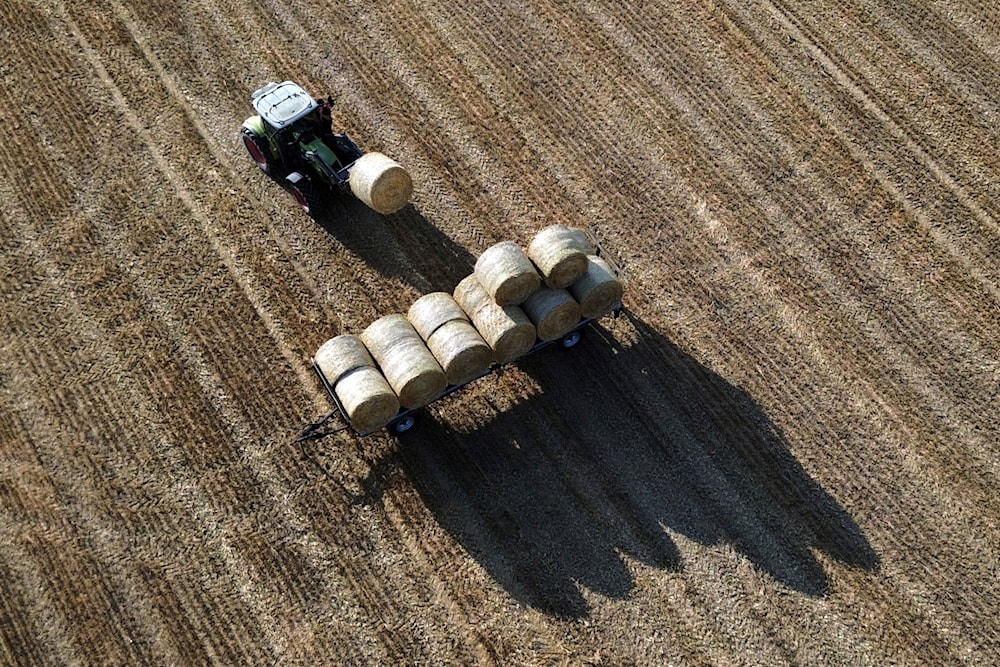 How climate change is driving food prices up worldwide