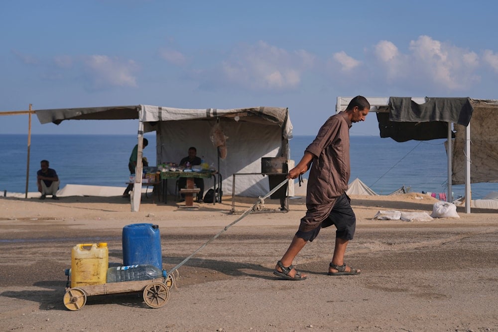 Over 115 dead from starvation amid ongoing Israeli blockade in Gaza
