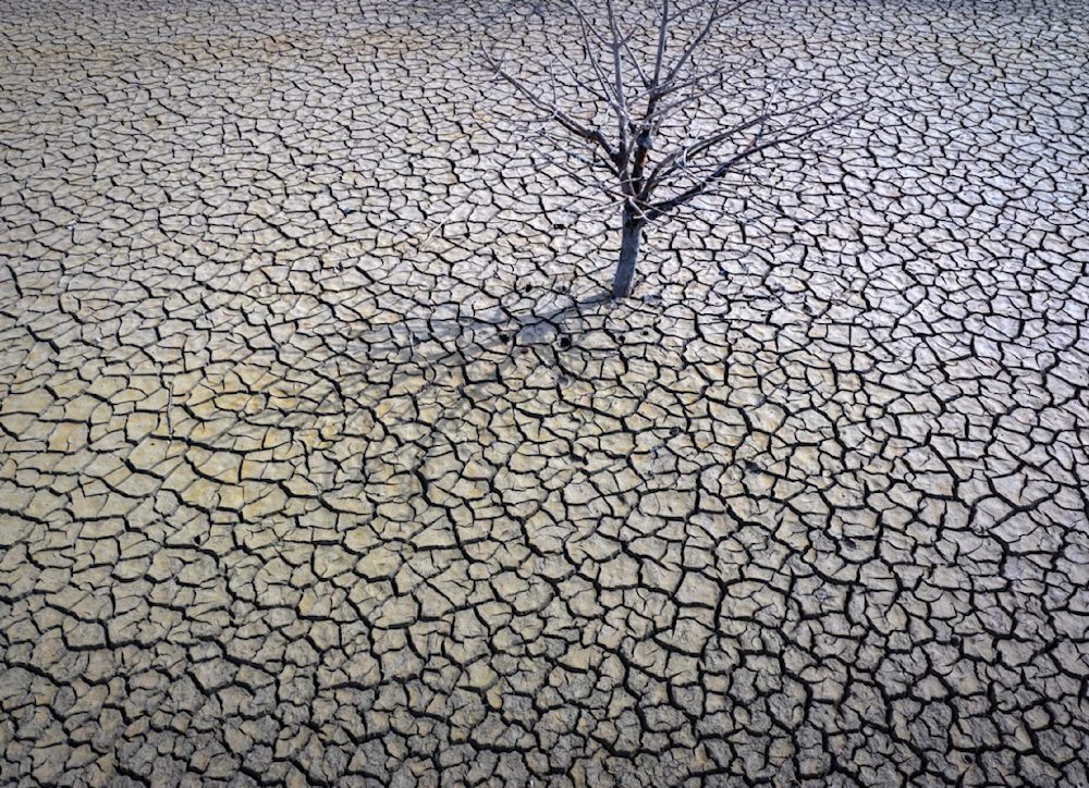 ICJ climate ruling to shape future lawsuits, experts say