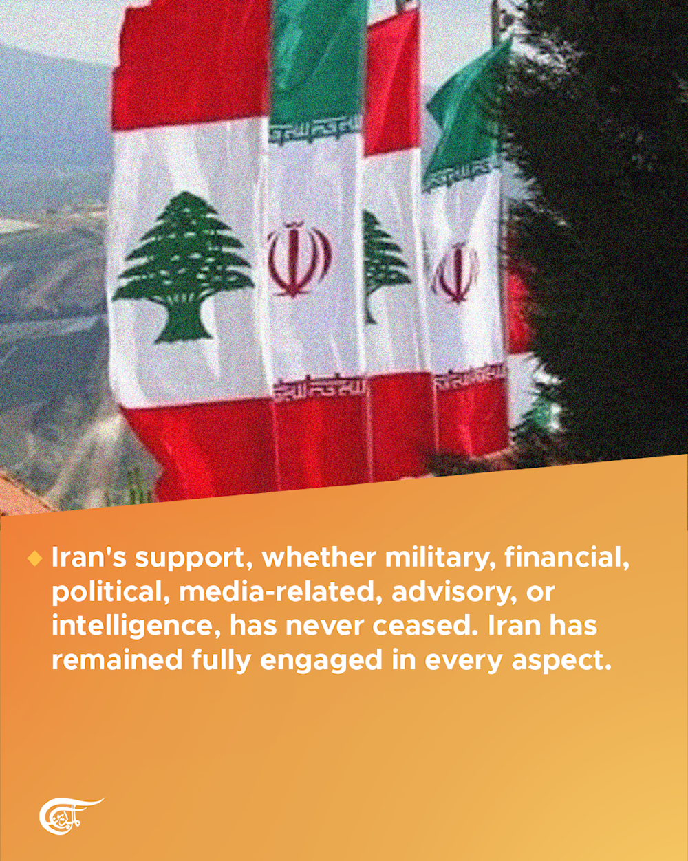 Highlights from Al Mayadeen's interview with the Lebanese Resistance Secretary General