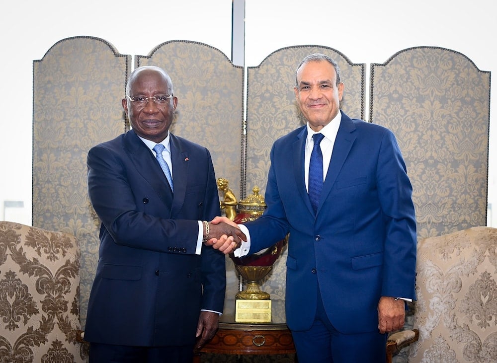 Egypt vows to defend water interests under international law