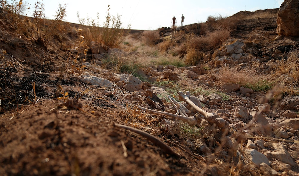 iraq mass graves