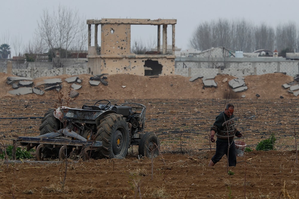 Syria under al-Sharaa faces wheat crisis as drought slashes harvests