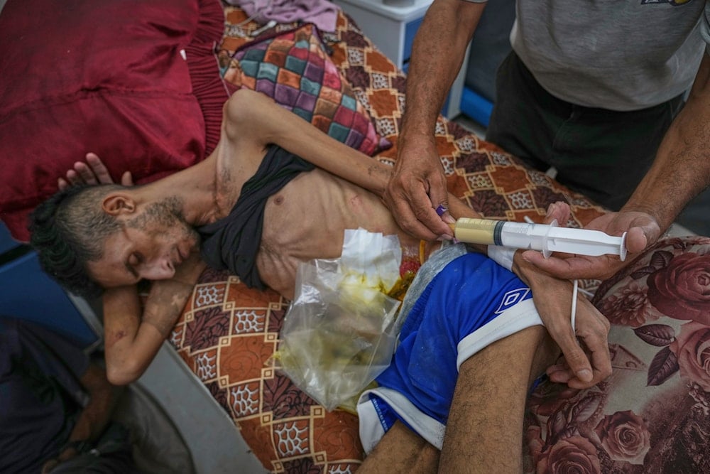 Gaza Ministry reports 58 martyrs, 185 wounded in 24 hours