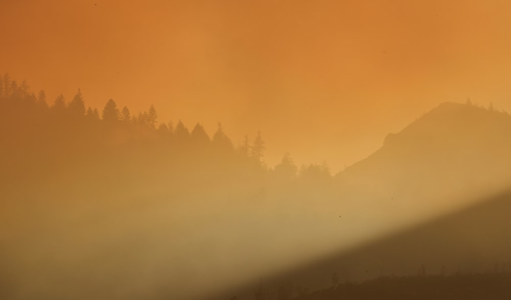 California wildfires surge amid record-breaking heatwave