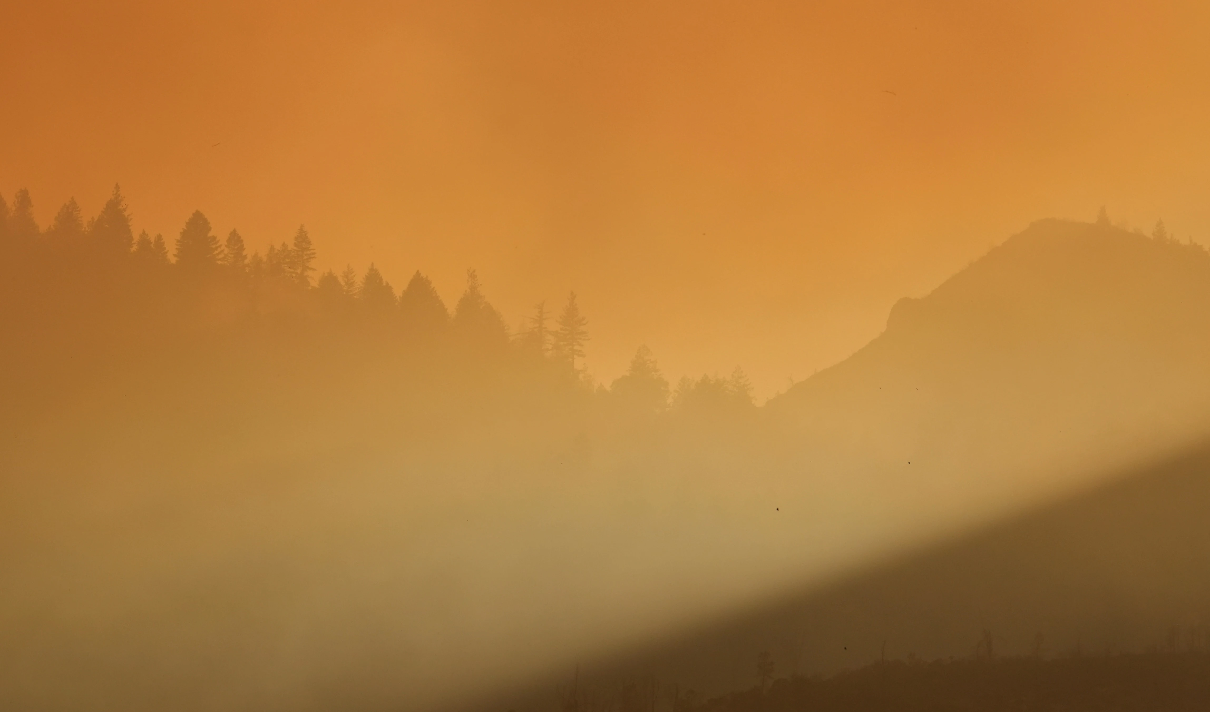 California wildfires surge amid record-breaking heatwave