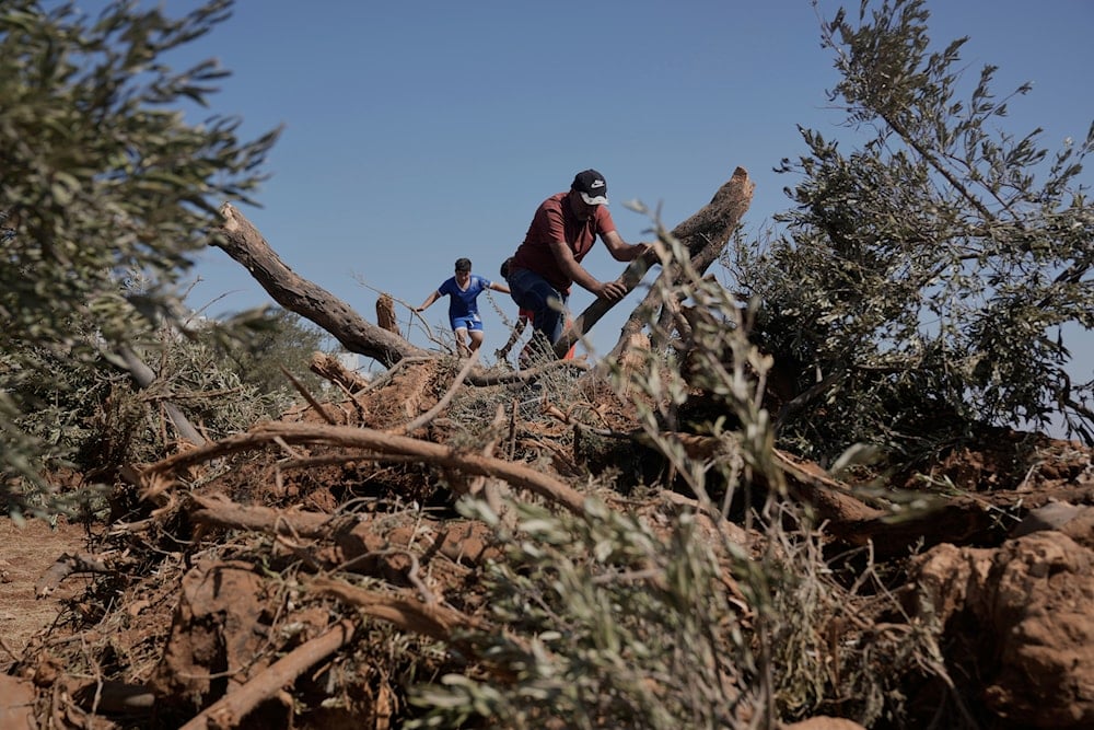 IOF wide-scale raids across West Bank towns
