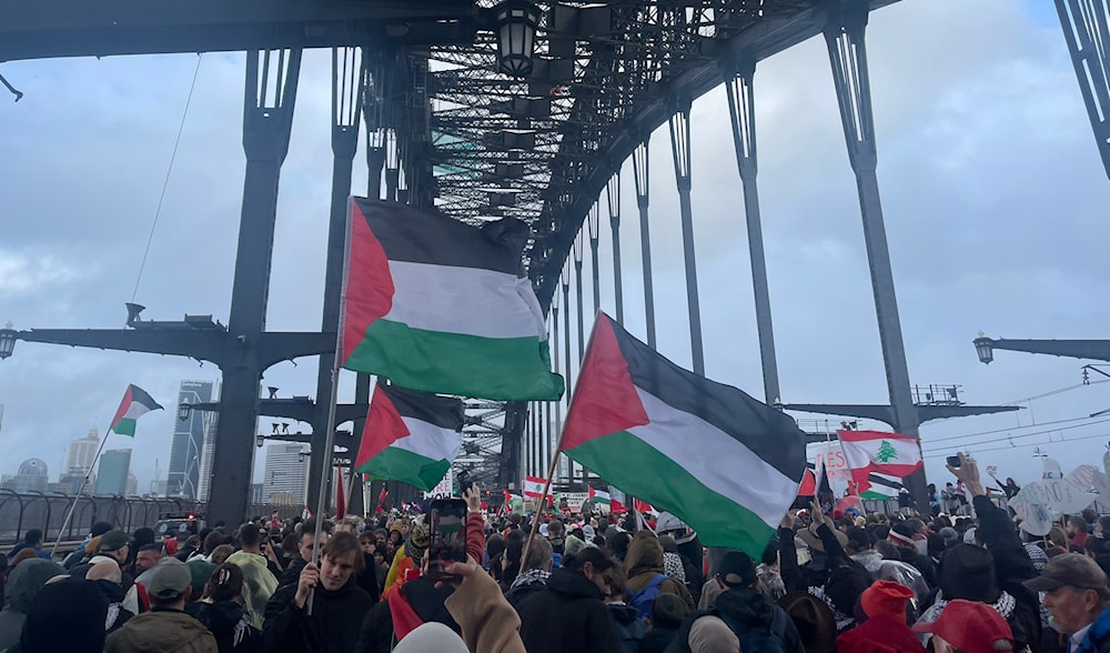 ‘March for humanity’: Protesters brave rain for Gaza on Sydney bridge