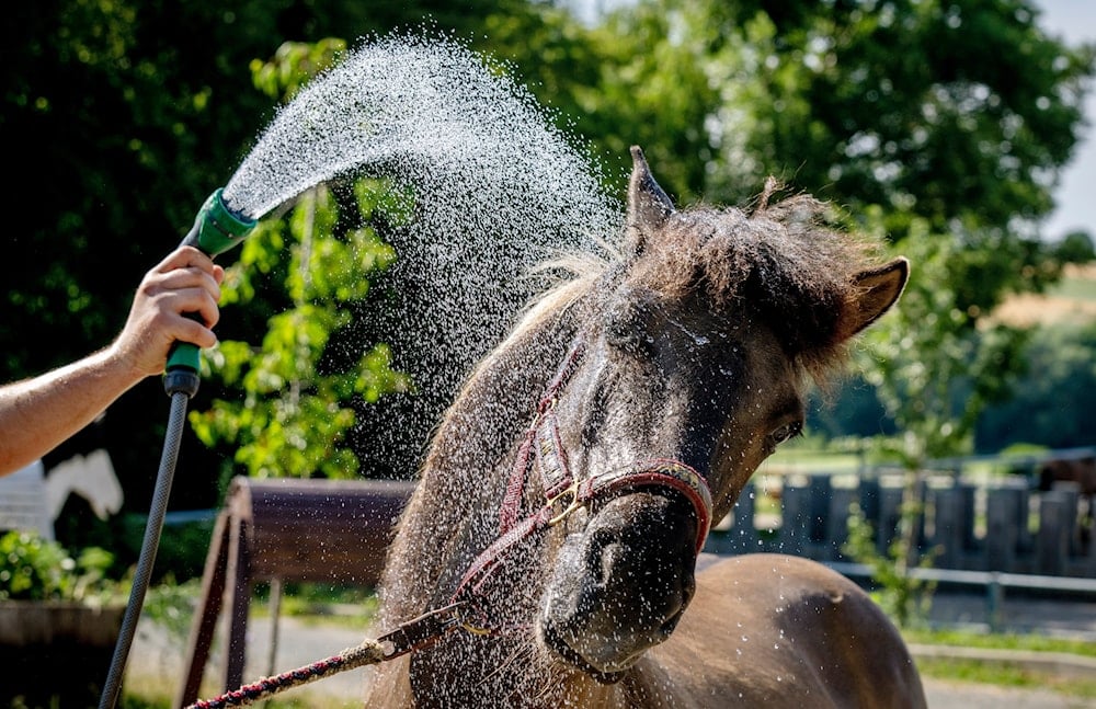 Nordic nations scorched by record-breaking heatwave