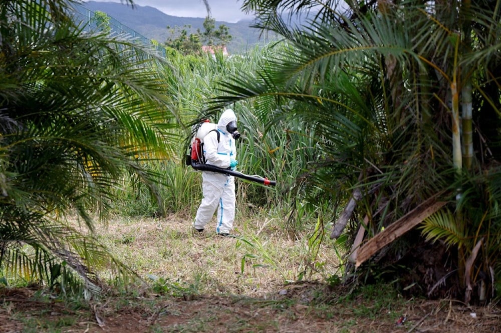 An ARS vector control agent operates as part of the fight against the Chikungunya pandemic by mosquitoes in Saint-Benoit on the French overseas island of La Reunion on April 22, 2025 (AFP via Getty Images)