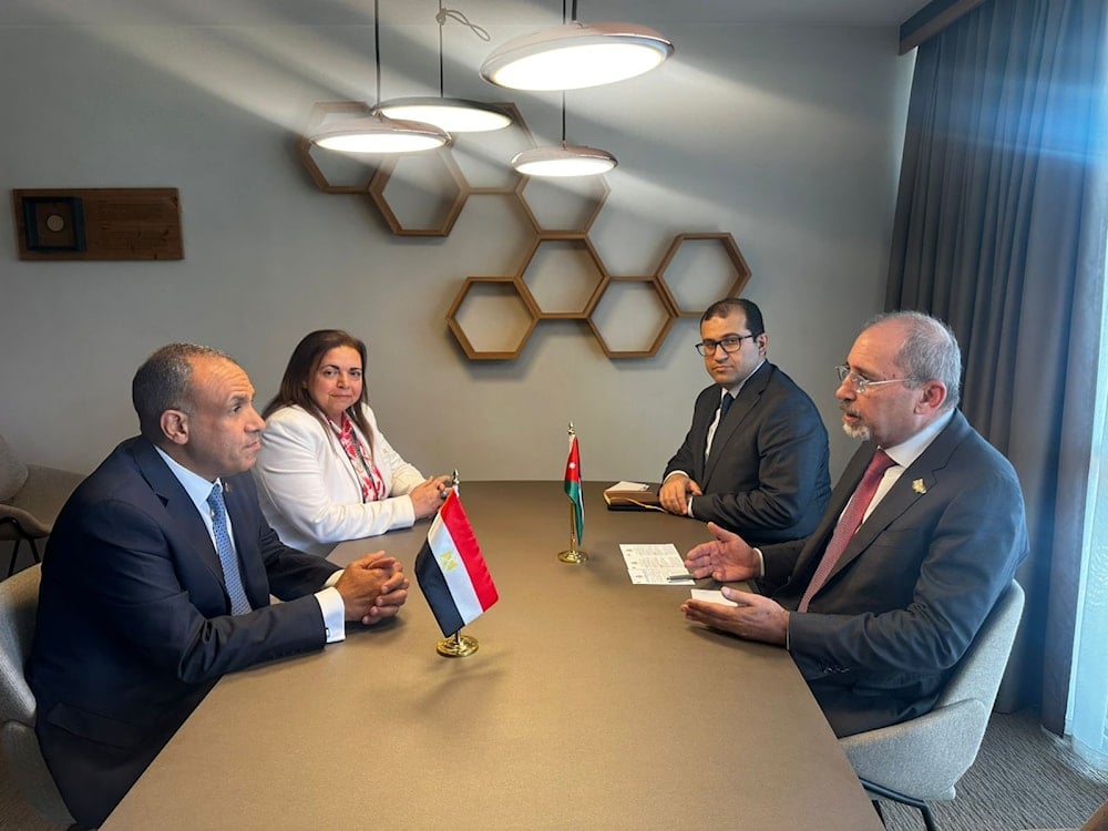 Egyptian Foreign Minister Badr Abdelatty and Jordanian Minister of Foreign Affairs and Expatriates Ayman Safadi. (Facebook)