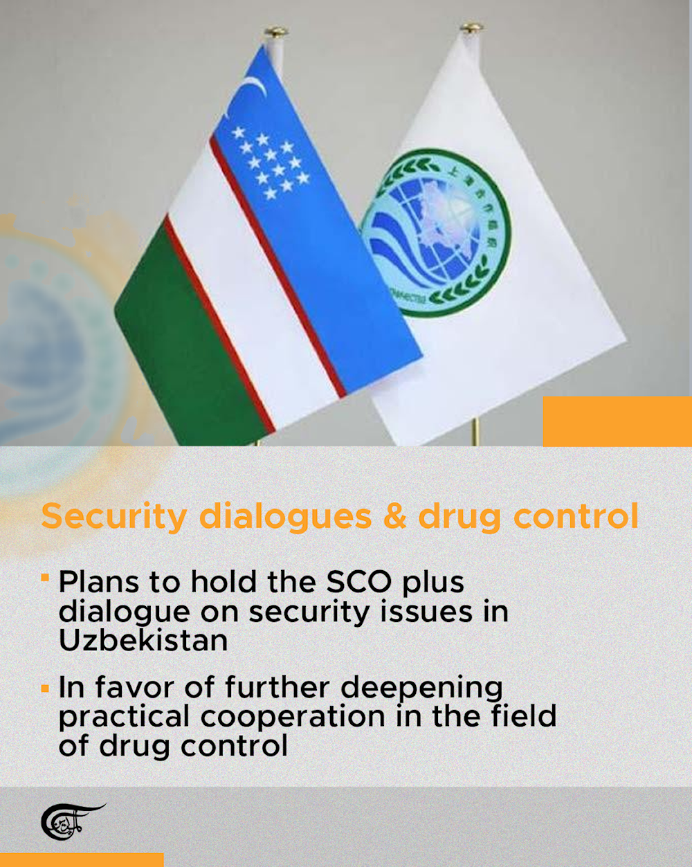 Tianjin Declaration: What leaders agreed on at the SCO Summit; Reuters