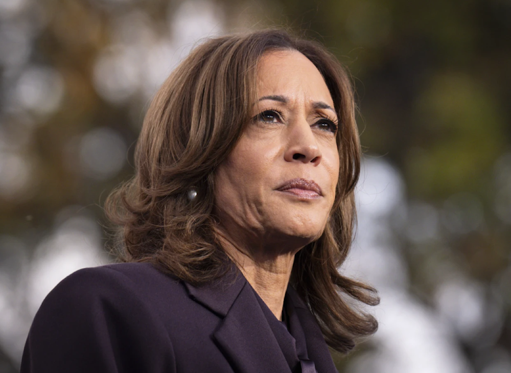 Kamala Harris: Dems reckless to defer to Biden on 2024 re-election bid
