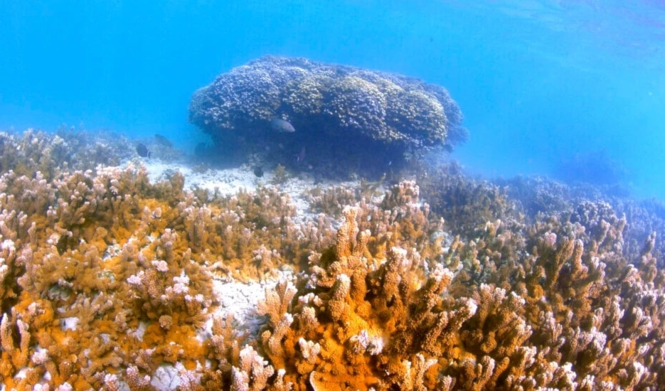 Australia warned of deadly climate risks in landmark report