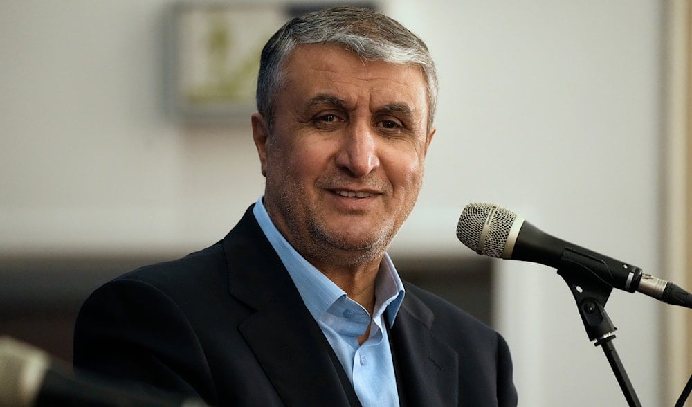 Iran nuclear chief: Europe hardened stance after Iran-IAEA agreement