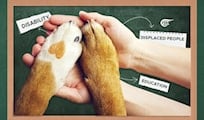 The silent therapy: Pets as catalysts for psychological well-being, academic achievement in youth, young adults, and displaced populations