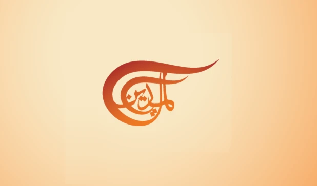 The UN Security Council endorsed the US draft resolution on Gaza by a majority of 13 members.